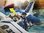 Playmobil 70779 - City Action - Policía Hidroavión: persecución de contrabandista