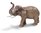 Elefante Asiático Macho - Schleich 14653