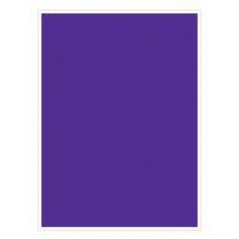 60 Fundas Small Legion - Color Purple