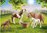 Playmobil 70682 - Country - Ponis con Potros