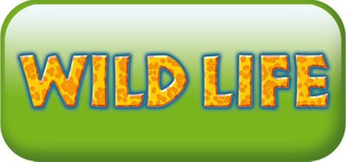 logo_wildlife